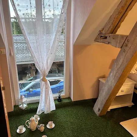 Le Terrier D Alice Et Du Lapin Floyon