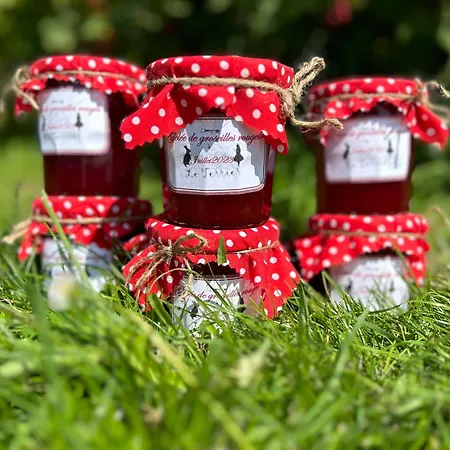 Le Terrier D Alice Et Du Lapin Floyon