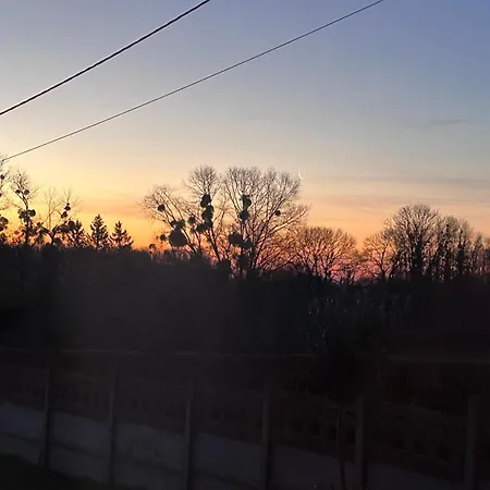 Le Terrier D Alice Et Du Lapin Couette-café